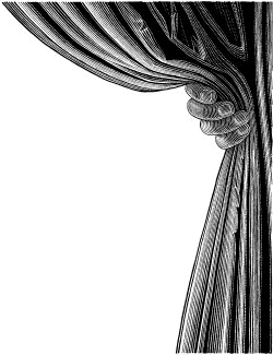 curtain.gif (24234 bytes)